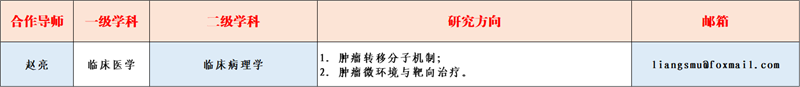 趙亮團隊.png